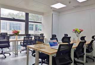 河南自动化LVT地板机器经验丰富